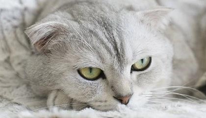 FIBA三篮官方社媒分享中国队花絮：大家加油呀